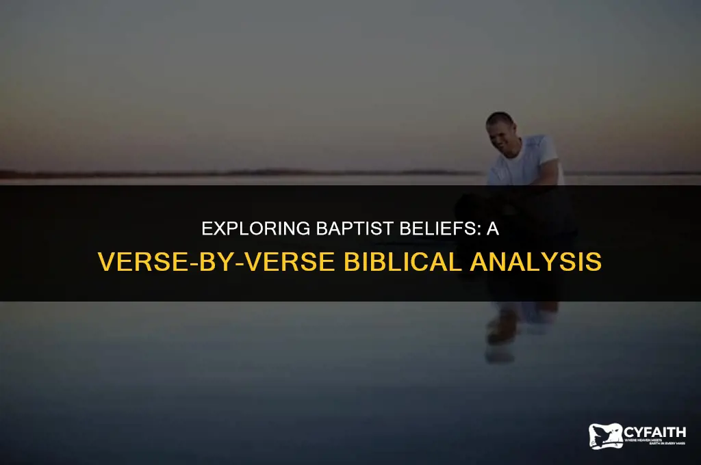 how many baptist in bible verses in the bible