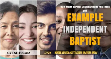 Exploring the Diversity of Baptist Organizations: A Comprehensive Guide