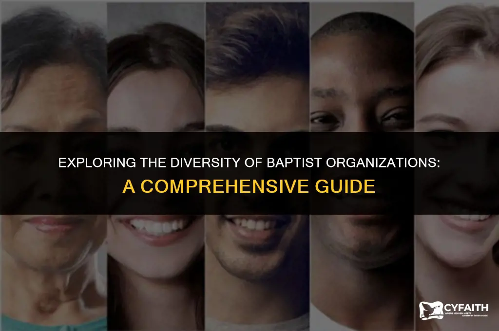 how many baptist organizations are there for example independent baptist