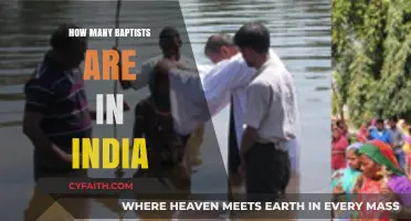 Exploring the Baptist Community in India: A Demographic Overview