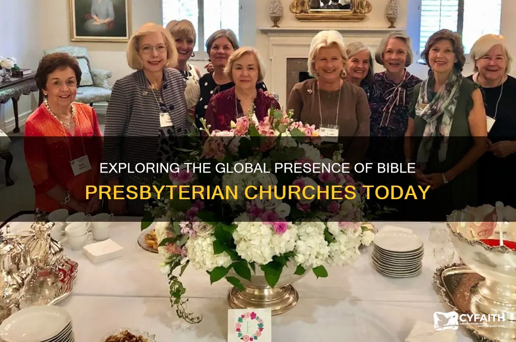 how many bible presbyterian churches are there