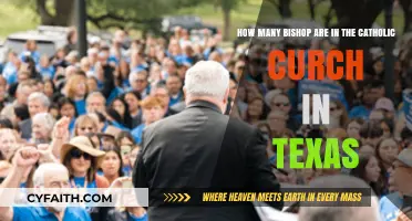 Exploring the Number of Bishops in Texas' Catholic Church