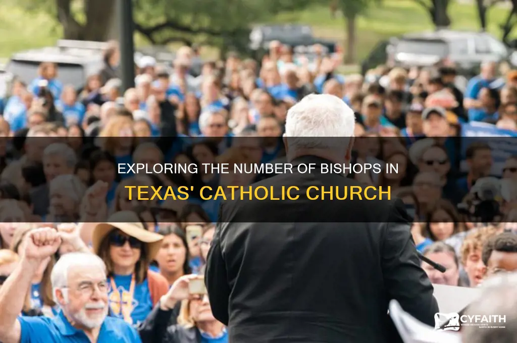 how many bishop are in the catholic curch in texas