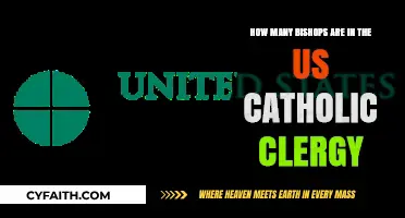 Understanding the Role and Number of Bishops in US Catholic Clergy