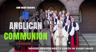 Understanding the Role and Number of Bishops in the Anglican Communion