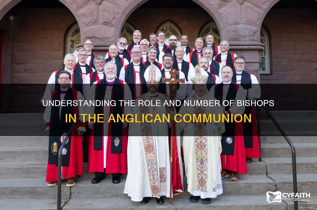 how many bishops in anglican communion
