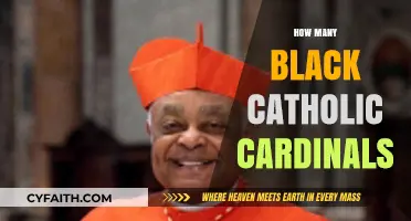 Exploring the Rarity: Black Catholic Cardinals in the Vatican Hierarchy