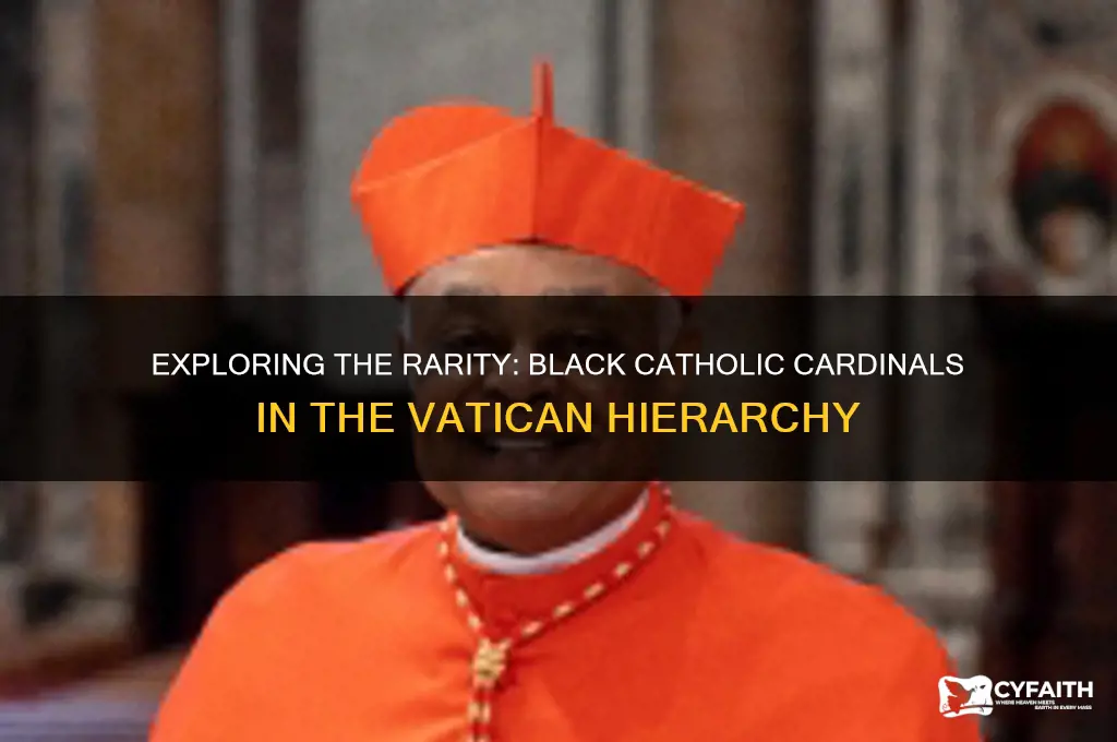 how many black catholic cardinals