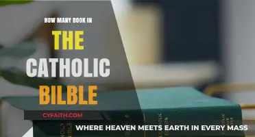 The Catholic Bible: Why More Books?