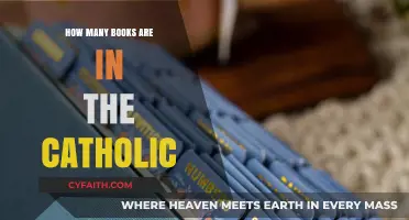 The Catholic Church's Extensive Library of Holy Books