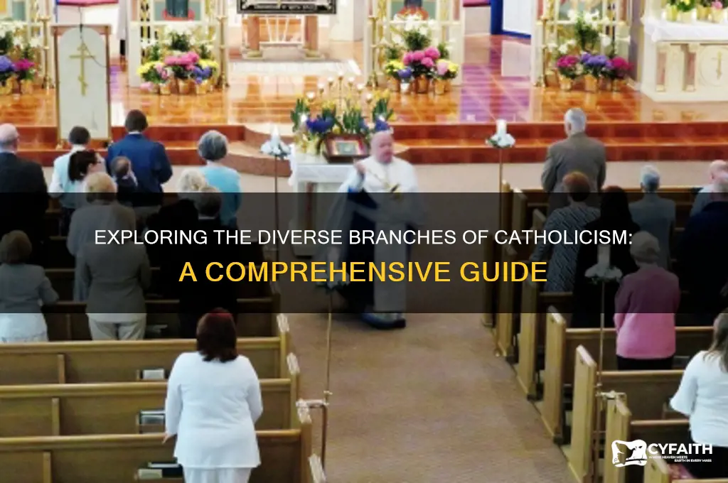 how many branches of catholicism