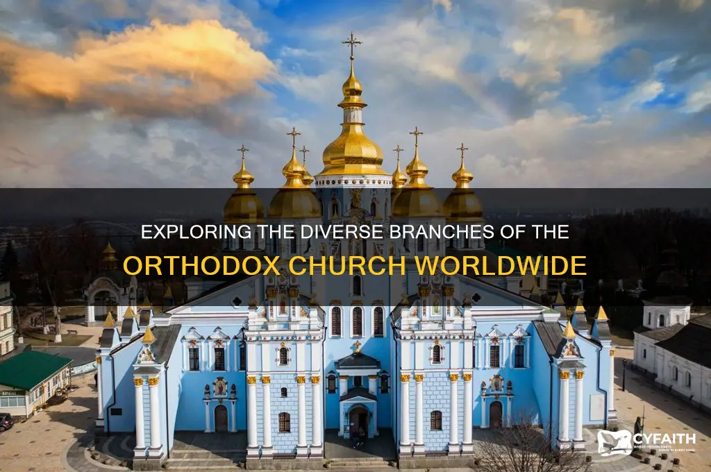 how many branches of orthodox church are there