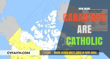 Exploring Canada's Catholic Population: A Comprehensive Demographic Overview