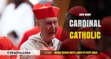 Exploring the Global Presence: How Many Cardinal Catholic Leaders Exist?