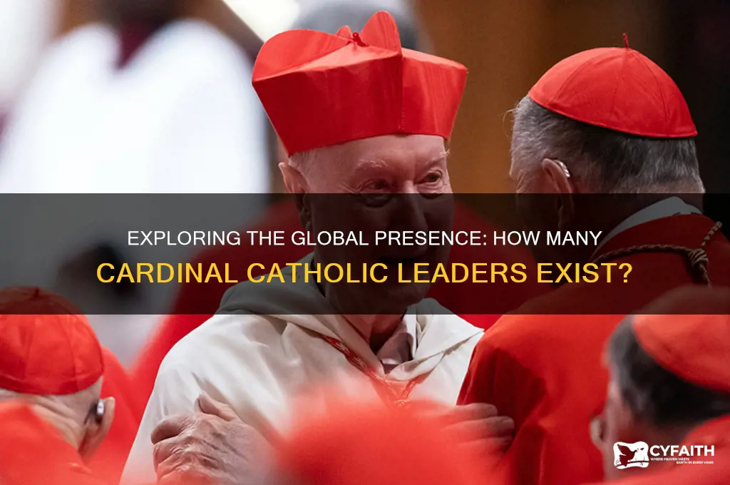 how many cardinal catholic