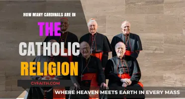 The Cardinals in Catholic Religion: A Comprehensive Overview