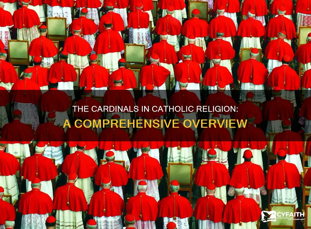 how many cardinals are in the catholic religion