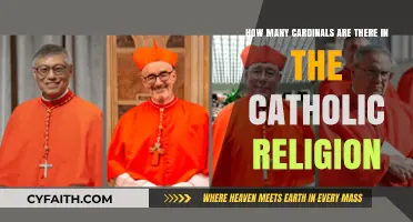 Understanding the Number of Cardinals in the Catholic Church