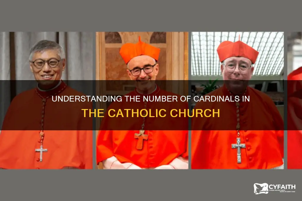how many cardinals are there in the catholic religion