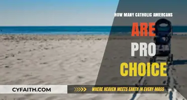 Exploring Catholic Americans' Stance on Abortion Rights