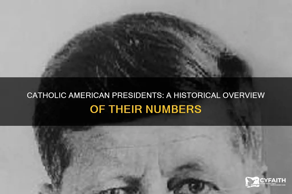 how many catholic american presidents