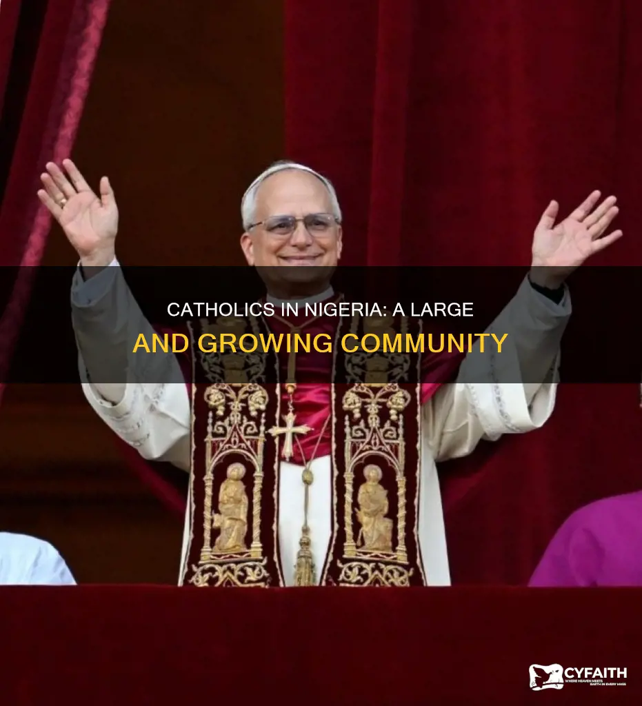 how many catholic are there in nigeria