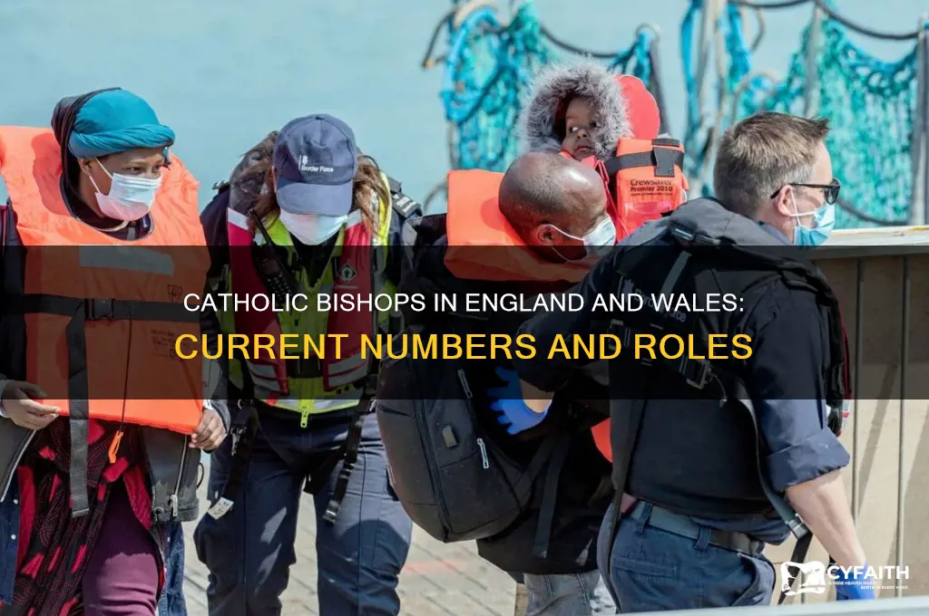 how many catholic bishops are there in england and wales