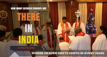 Indian Bishops: A Large Catholic Presence