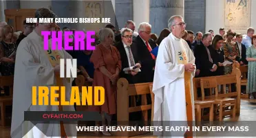 Irish Catholic Bishops: How Many?