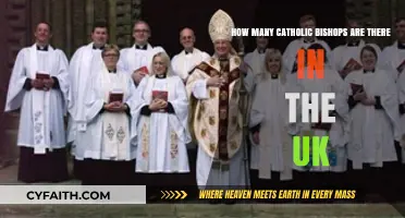Exploring the Number of Catholic Bishops in the UK Today