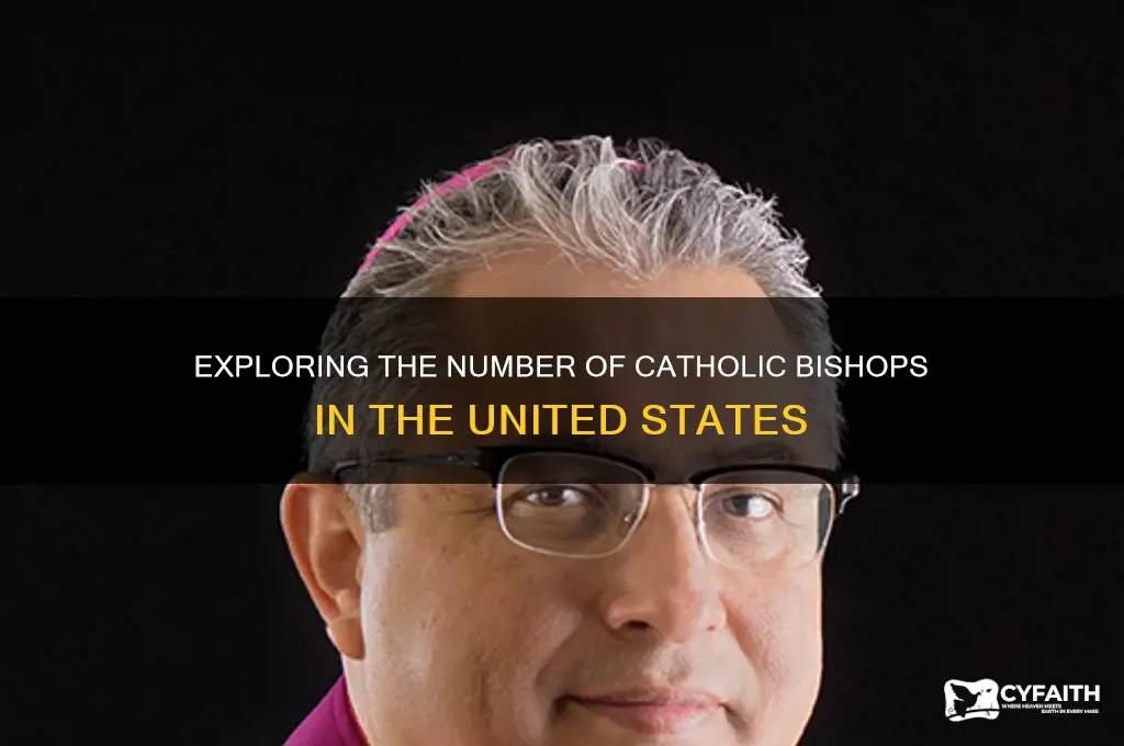 how many catholic bishops are there in the united states