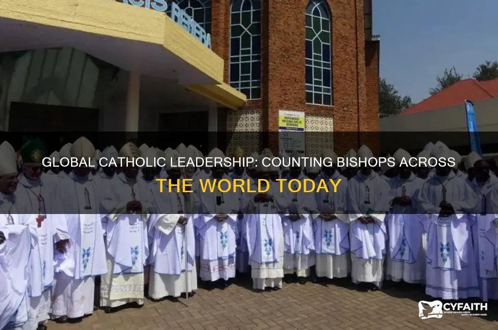 how many catholic bishops are there in the world