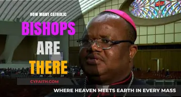 The Catholic Church: Bishops and Their Numbers