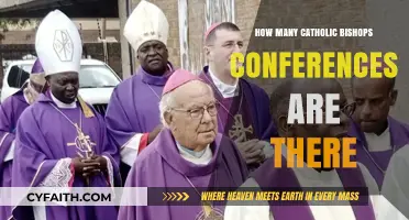Global Catholic Bishops Conferences: How Many?