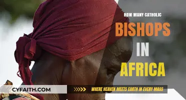 Catholic Bishops in Africa: How Many?