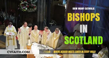 Scotland's Catholic Bishops: How Many?