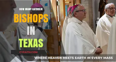 Texas Bishops: A Large Catholic Presence