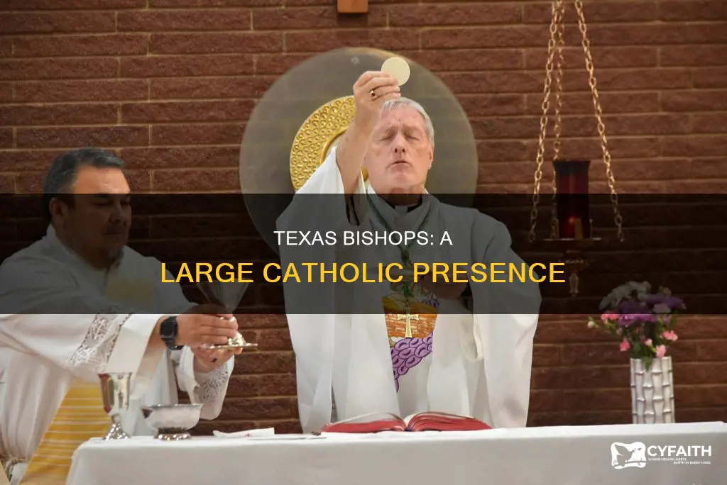 how many catholic bishops in texas