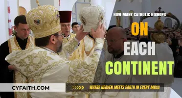 Catholic Bishops: A Global Overview