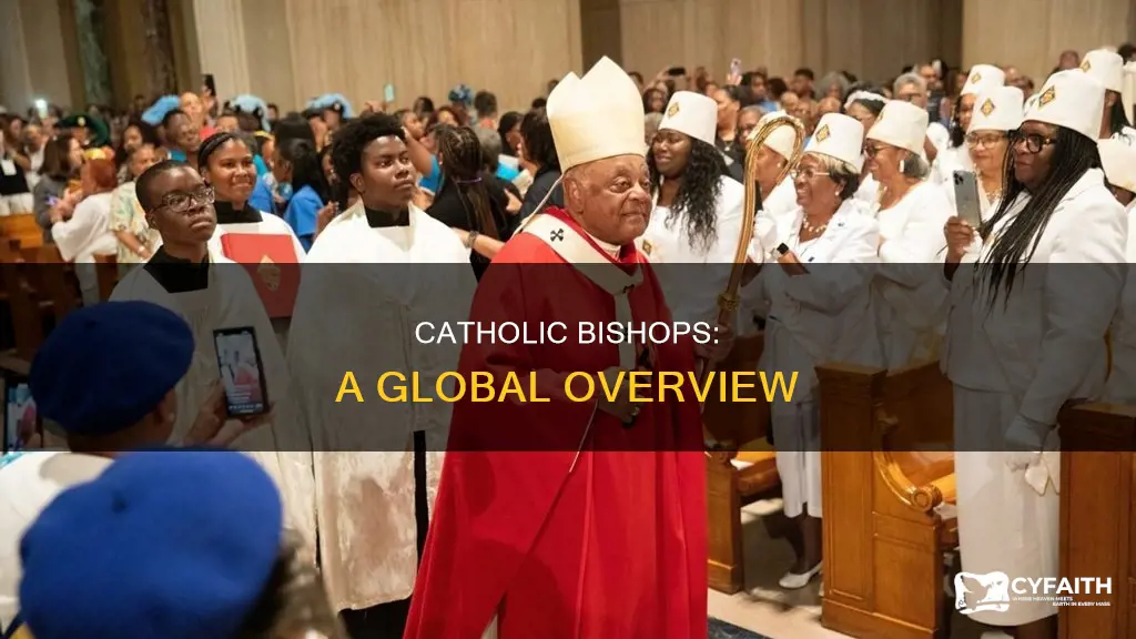 how many catholic bishops on each continent