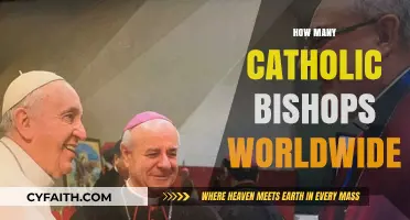 Global Catholic Leadership: Counting Bishops Across the World