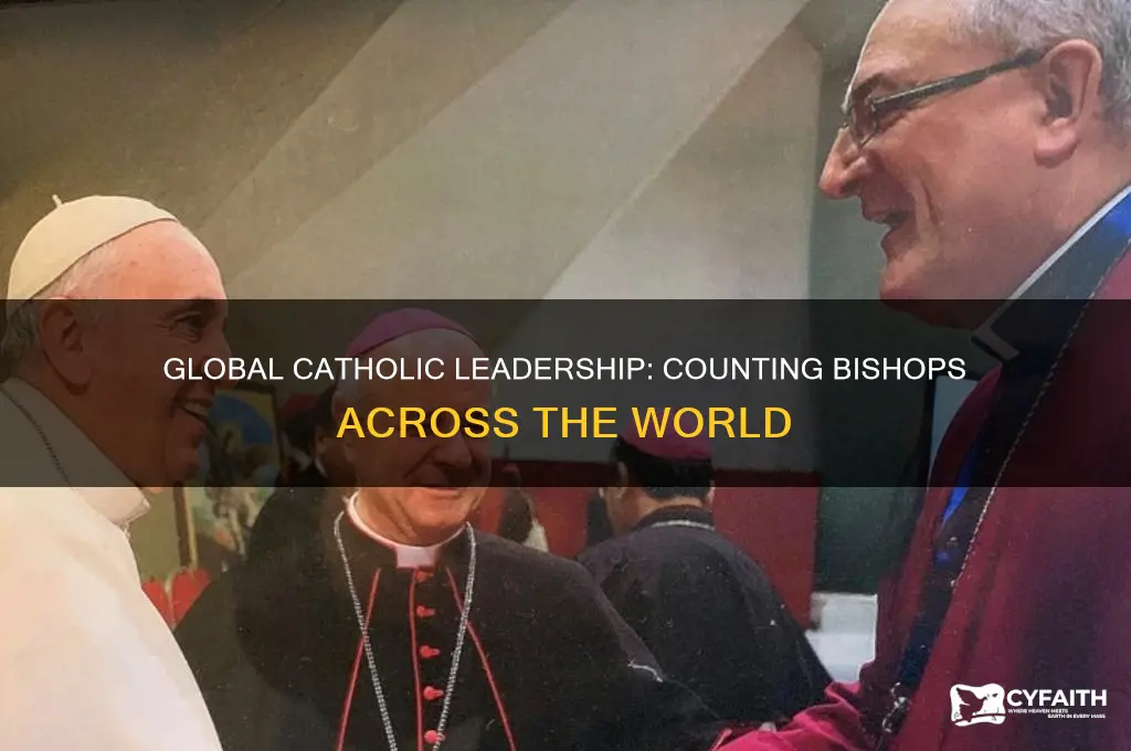 how many catholic bishops worldwide