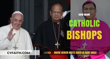 Understanding the Global Number of Catholic Bishops Today