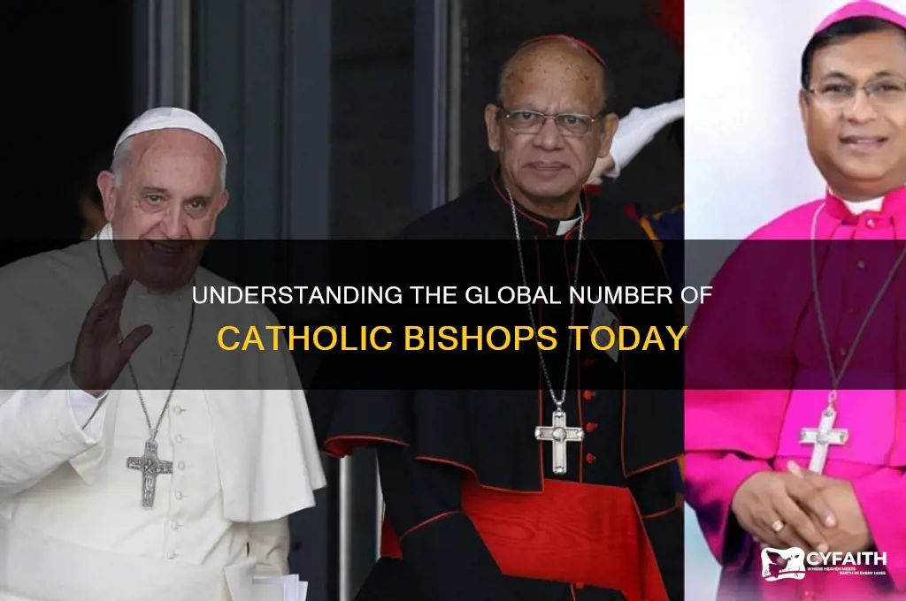 how many catholic bishops