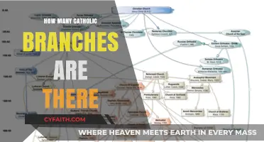 Exploring the Many Branches of Catholicism