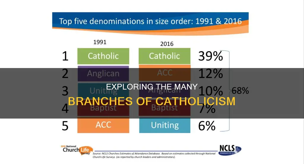 how many catholic branches are there
