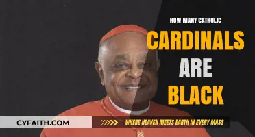 Black Cardinals in the Catholic Church: How Many?