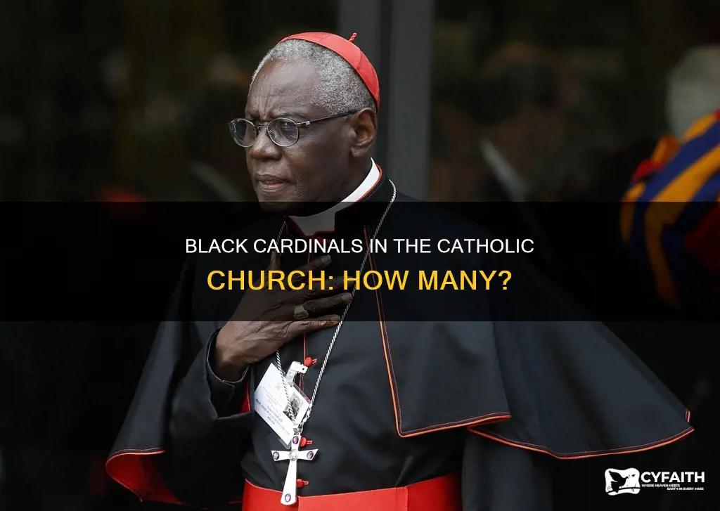 how many catholic cardinals are black