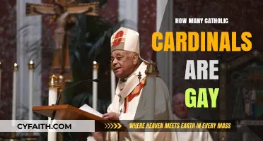 Gay Catholic Cardinals: How Many?