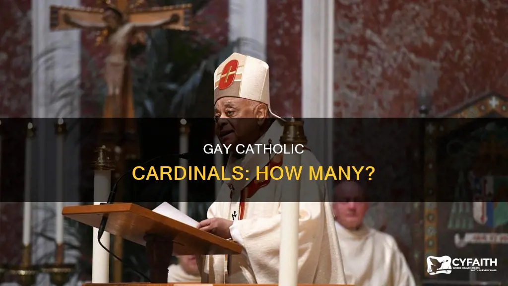 how many catholic cardinals are gay